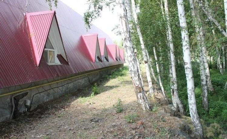 Гостиница Tirrols Bungalos Зелёная Поляна